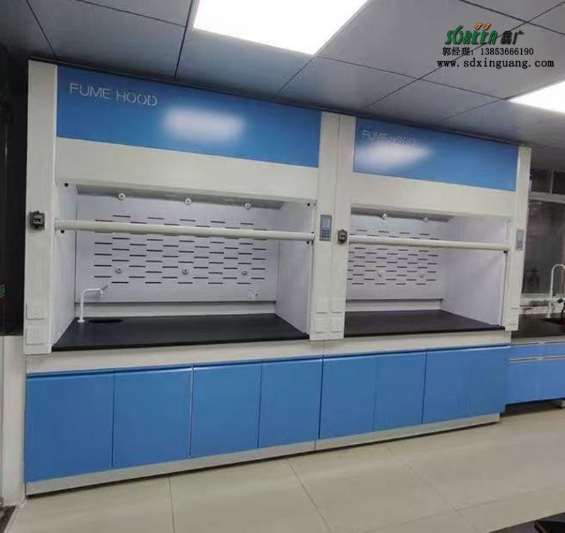 山東全鋼通風(fēng)櫥實驗室全鋼通風(fēng)柜PP排風(fēng)柜