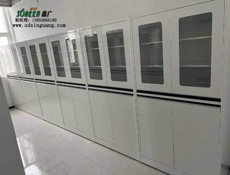 濰坊全鋼試劑柜實(shí)驗(yàn)室器皿柜儲存柜供應(yīng)