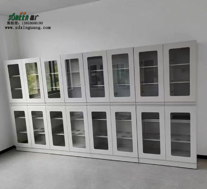 山東實(shí)驗(yàn)臺全鋼試劑柜實(shí)驗(yàn)室器皿柜實(shí)驗(yàn)臺廠家