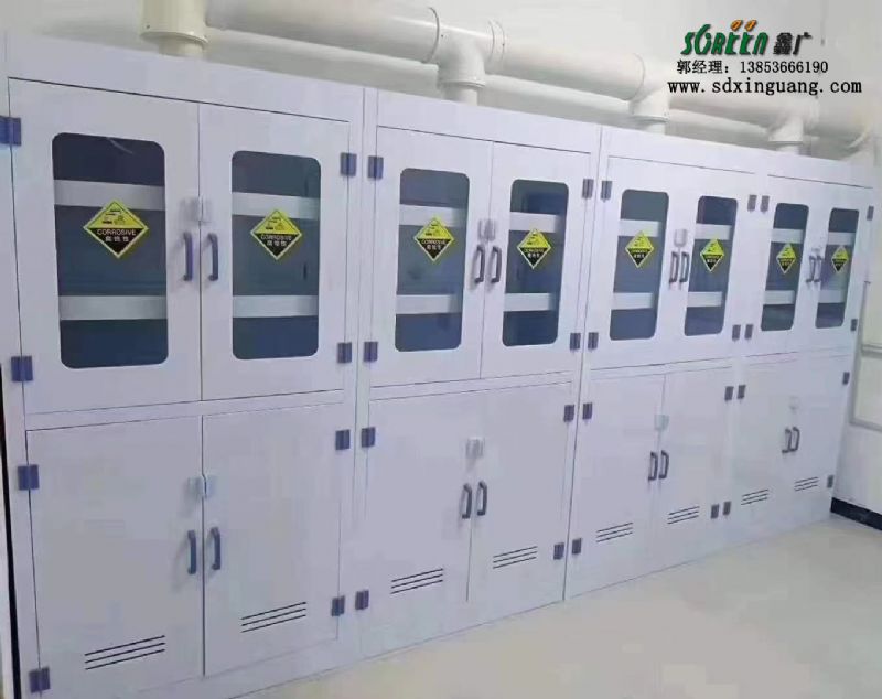 山東實(shí)驗(yàn)室家具 pp試劑柜 防腐儲物柜廠家