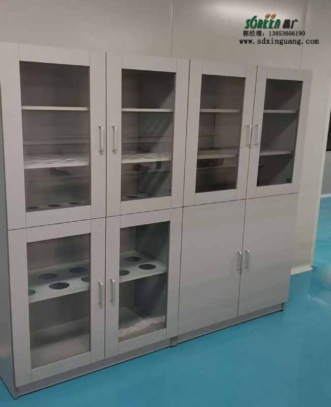 山東實(shí)驗(yàn)室器皿柜試劑柜存儲柜雙鎖廠家