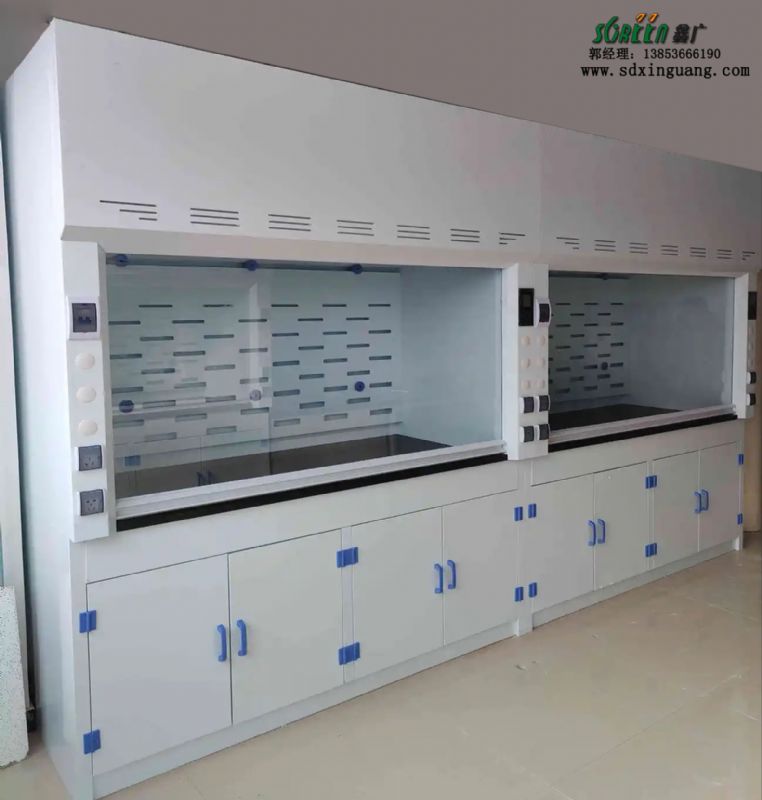 山東實驗室設(shè)備pp實驗室通風(fēng)柜實驗臺廠家