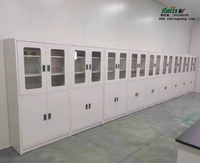 山東實(shí)驗(yàn)臺廠家全鋼試劑柜實(shí)驗(yàn)室器皿柜