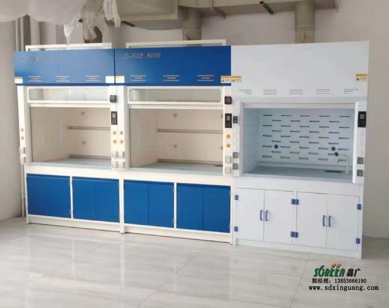 山東實驗室通風(fēng)柜生產(chǎn)通風(fēng)櫥供應(yīng)實驗臺廠家