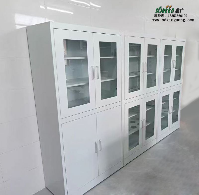 山東實(shí)驗(yàn)室設(shè)備全鋼試劑柜器皿柜廠家定制