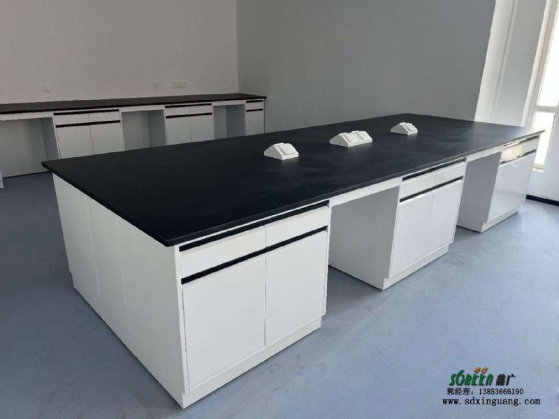 山東實驗臺廠家全鋼pp鋼木實驗室實驗臺供應